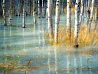 Fall Flood