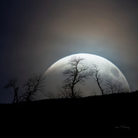 Moon Rise