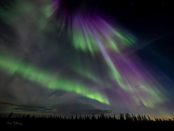 Aurora